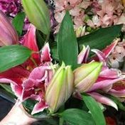 Oregon Flowers Fragrant Lily Bunch