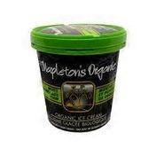 Mapleton's Organic Mint Chocolate Chip Ice Cream
