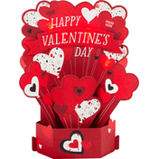 Hallmark Happy Valentine's Day Card