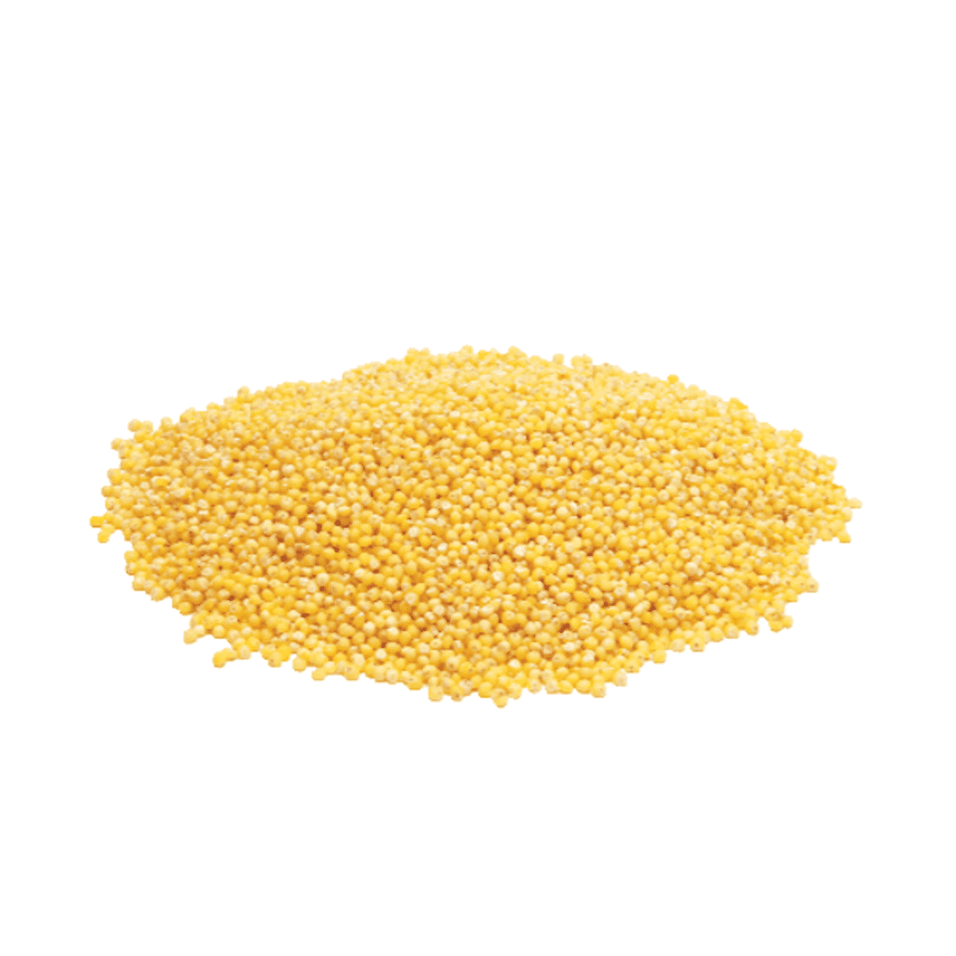 Hulled Millet, Bulk