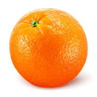 Organic Valencia Orange