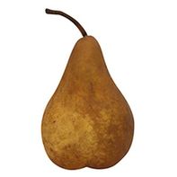 Bosc Pear