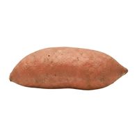Sweet Potato (Yam)
