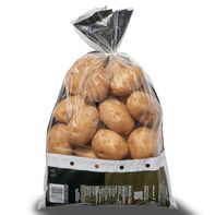 Russet Potato