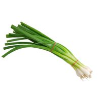 Green Onions (Scallions) Bunch