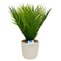 Artificial Plant in Ceramic Pot, Large