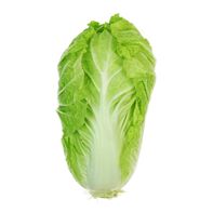 Organic Romaine Lettuce