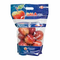 Gala Apple