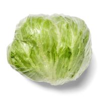 Iceberg Lettuce Bag