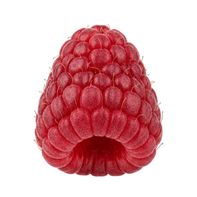 Organic Raspberries Package