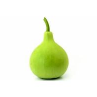 Round Squash