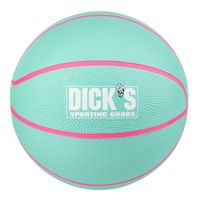 DICK'S Sporting Goods Mini Basketball