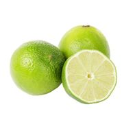 Limes