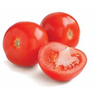 Roma Tomato