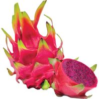 Delina Red Flesh Dragon Fruit