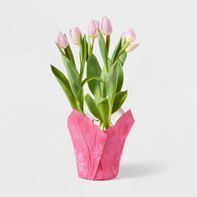 Good Little Garden Live Pink Tulip Potted Plant in Pot Cover