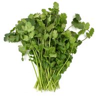 Organic Cilantro Bunch