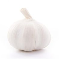 Organic White Garlic
