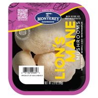 Lion’s Mane Mushrooms