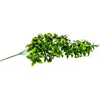 Terrassic Eucalyptus Vine Terrarium Décor