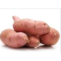 Jumbo Yams - 25 lb case