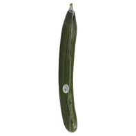 English Seedless Cucumber