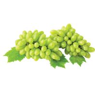 Green Seedless Grape