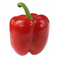 Red Bell Pepper