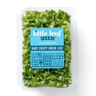 Little Leaf Farms Baby Crispy Green Leaf Lettuce