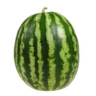 Seedless Watermelon