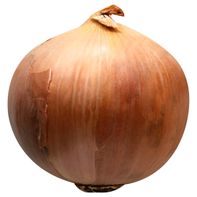 Jumbo Yellow Onions