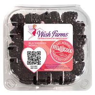 Wish Farms Blackberries