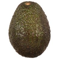 Hass Avocado