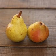 Organic Bartlett Pear