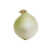 White Jumbo Onions