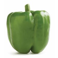 Green Bell Pepper