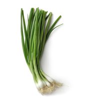 Organic Green Onions (Scallions)