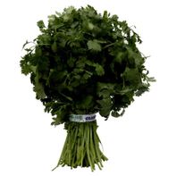 Fresh Cilantro (Corriander)