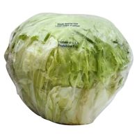 Iceberg Lettuce