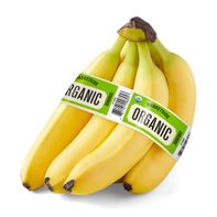 Organic Bananas