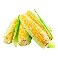 Bicolor Sweet Corn