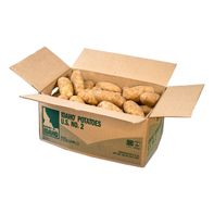 Potato