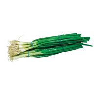Scallion