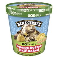 Ben & Jerry's Non-dairy Peanut Butter Half Baked Frozen Dessert