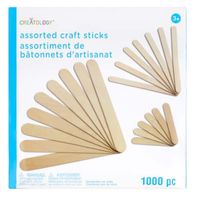 Creatology Assortments Craft Sticks