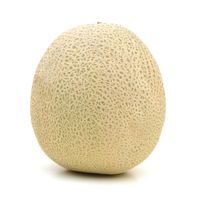 Cantaloupe