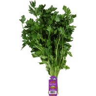 Organic Italian Parsley