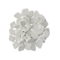 Shimmy Shimmy Mouthwash Tabs