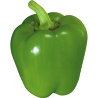 Green Bell Pepper