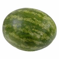 Seedless Watermelon